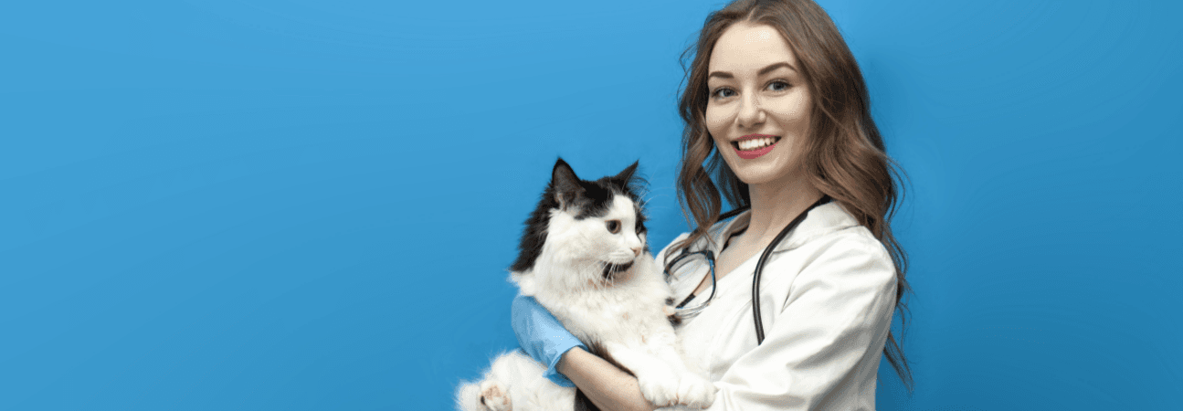 Flying With a Pet: What Pet Owners Should Know Before Takeoff