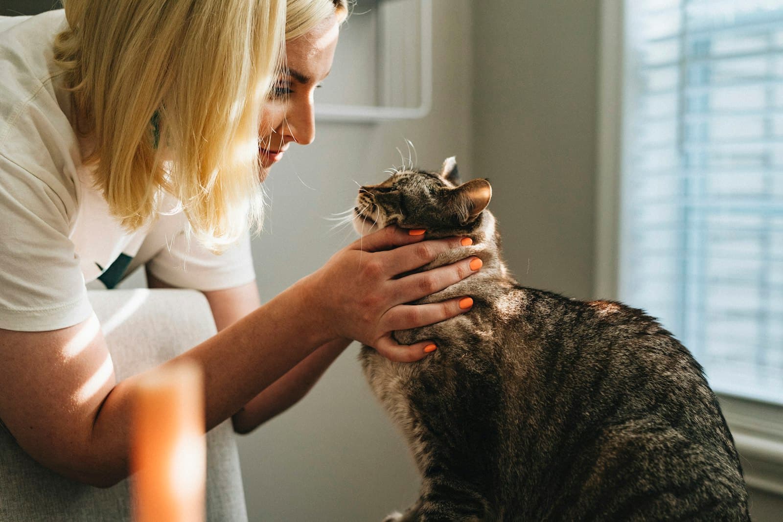 A veterinary caregiver gently comforting a cat